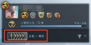 csgo国服进入教程（CSGO国服开启奉上入门指南）(24)