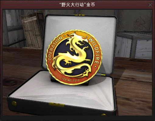 csgo国服进入教程（CSGO国服开启奉上入门指南）(2)