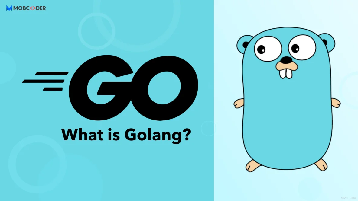 Go 语言入门很简单：什么是 Golang_开发人员