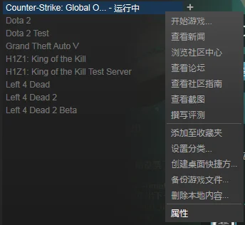 csgo启动项设置1