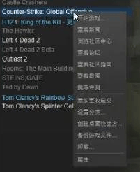 win10玩csgo怎么优化参数设置 电脑玩csgo顿卡优化教程(5)