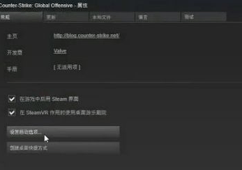 win10玩csgo怎么优化参数设置 电脑玩csgo顿卡优化教程(6)