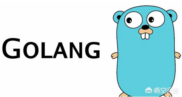 31岁java开发转型，python和golang两个方向哪个发现空间比较大？  Golang 第1张