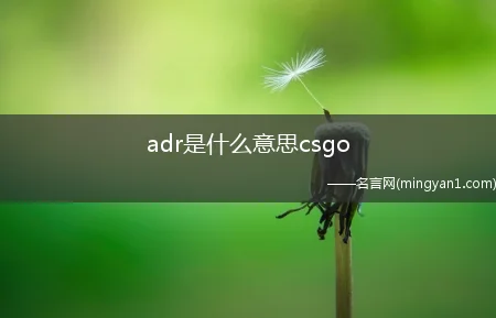 adr是什么意思csgo（csgo中adr是什么意思）