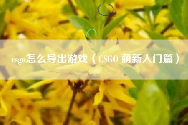 csgo怎么导出游戏（CSGO 萌新入门篇）