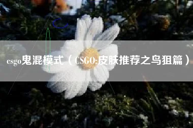 csgo鬼混模式（CSGO:皮肤推荐之鸟狙篇）