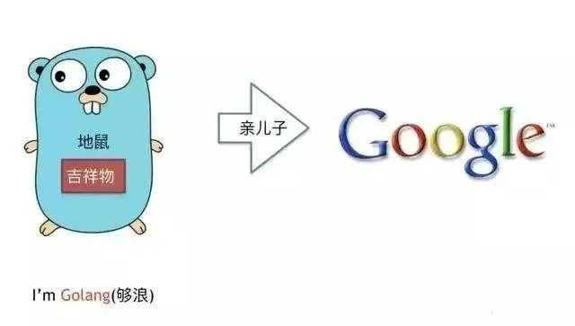 go语言入门基础学习系列教程：第五节Go语言和其他语言的对比