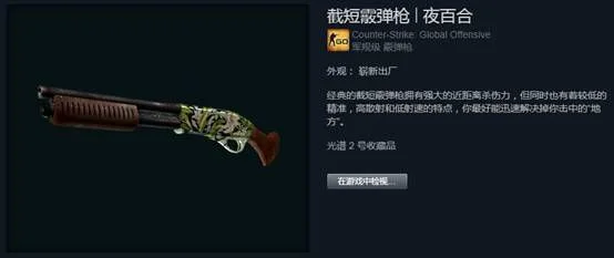 ​csgo国服小白别被骗，这个箱子很值钱！