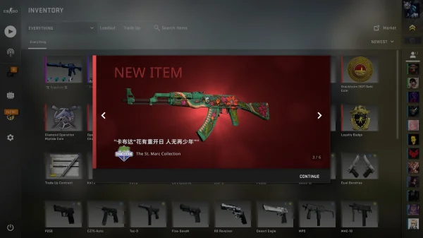 csgo单机版电脑版图片9