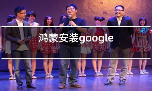 鸿蒙安装google play商店的相关图片