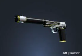 csgo中好看不贵的皮肤（盘点csgo里又好看又便宜的皮肤）(16)