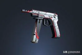 csgo中好看不贵的皮肤（盘点csgo里又好看又便宜的皮肤）(22)