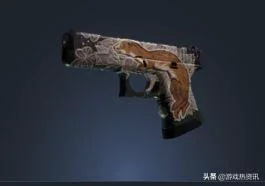 csgo中好看不贵的皮肤（盘点csgo里又好看又便宜的皮肤）(23)