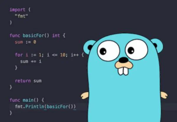 Golang IDE