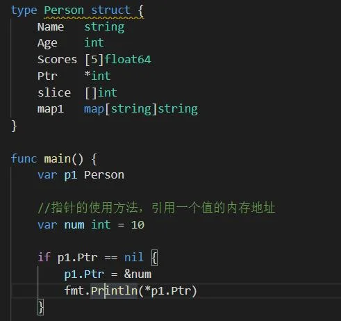 Golang struct 指针引用用法（声明入门篇）