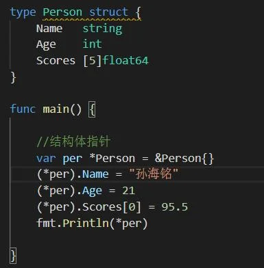 Golang struct 指针引用用法（声明入门篇）