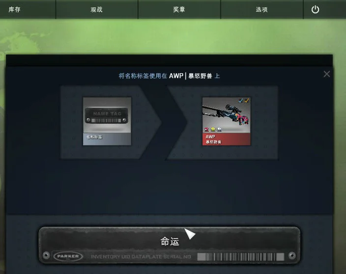 CSGO皮肤新玩法 给你的武器改个酷炫的中文名吧！