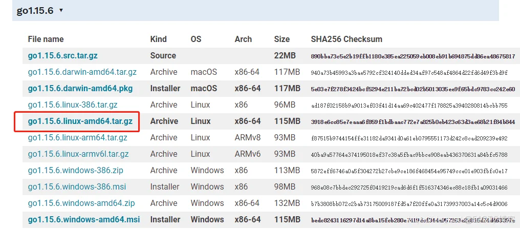 记一次 Centos7.x 安装部署 GO 1.15.6 环境_golang_02