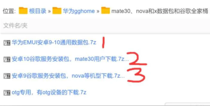 华为Mate30/20、P30/20等手机安装谷歌服务教程