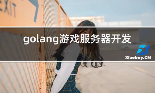 golang游戏服务器开发的相关图片