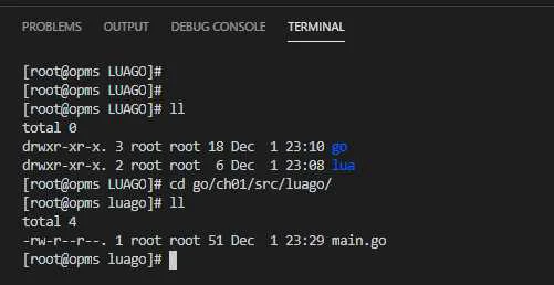 vscode打造golang开发环境