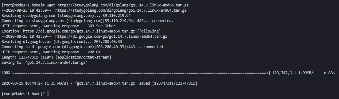 Golang wget download.png