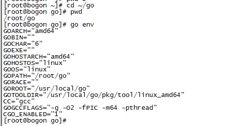 linux_go_env