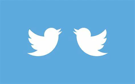 2023Twitter安装包安装不了(为啥Twitter安装不了 )