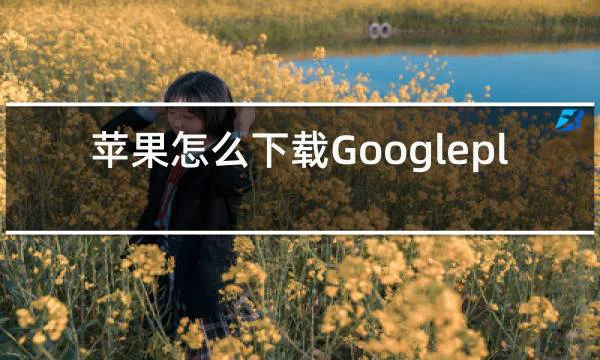 苹果怎么下载Googleplay的相关图片