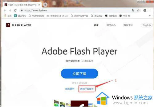 谷歌浏览器安装flash插件怎么安装_谷歌浏览器说没有安装flash解决方法