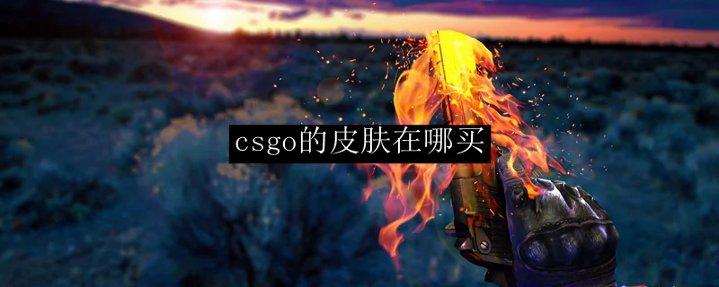 csgo的皮肤在哪买