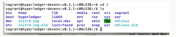 在mac下如何部署hyperledger fabric本地开发环境