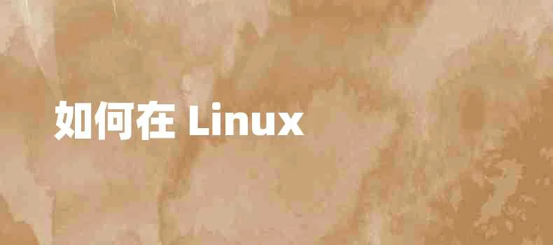 如何在 Linux 上使用终端安装 Google Chrome linux终端安装软件包命令