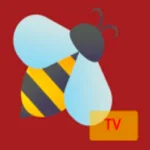 beetv apk firestick