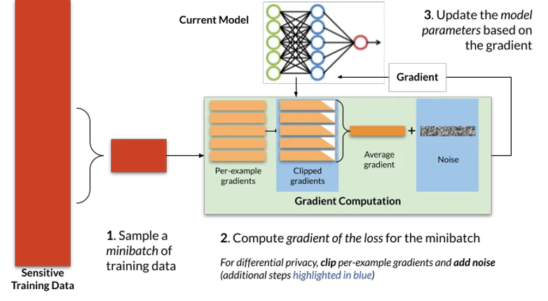 Figure 1: Stochastic Gradient Descent (SGD) and Differentially Private SGD (DP-SGD). To achieve differential privacy, DP-SGD clips and adds noise to the gradients, computed on a per-example basis, before updating the model parameters. Steps required for DP-SGD are highlighted in blue; non-private SGD omits these steps.