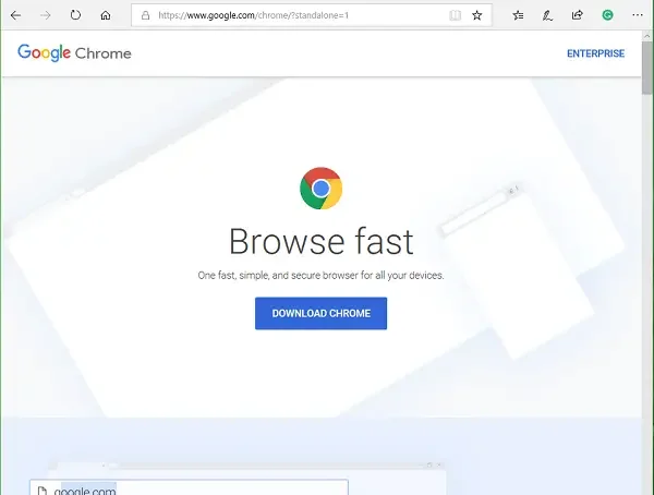 下载 Google Chrome 离线安装程序设置