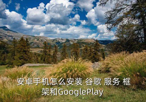  安卓手机怎么安装 谷歌 服务 框架和GooglePlay