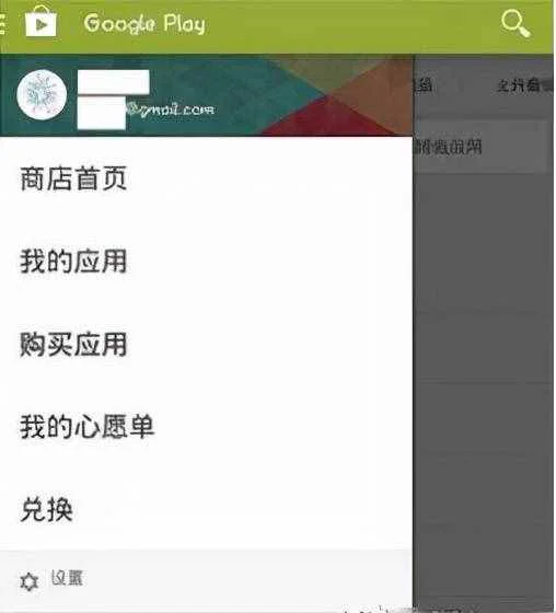 为什么谷歌商店打不开,为什么谷歌商店打不开一直显示白的,一加谷歌商店打不开  第5张