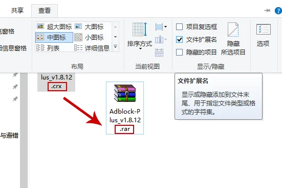 谷歌浏览器安装扩展程序的详细步骤