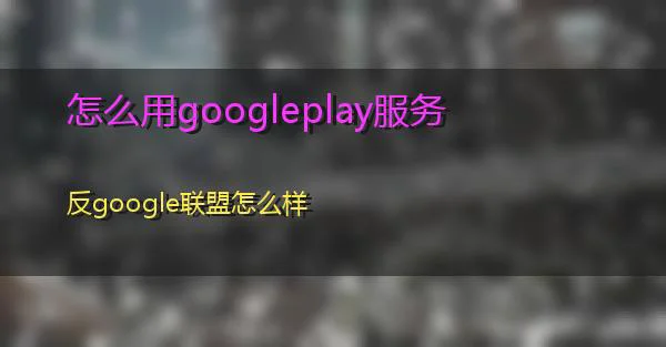 怎么用googleplay服务的相关图片