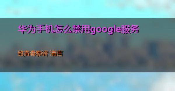 华为手机怎么禁用google服务的相关图片