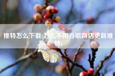 推特怎么下载(怎么不用谷歌商店更新推特)