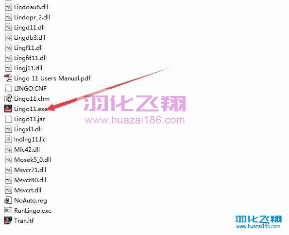 Lingo 11.0软件安装教程步骤3