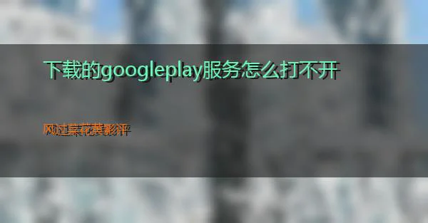 下载的googleplay服务怎么打不开的相关图片