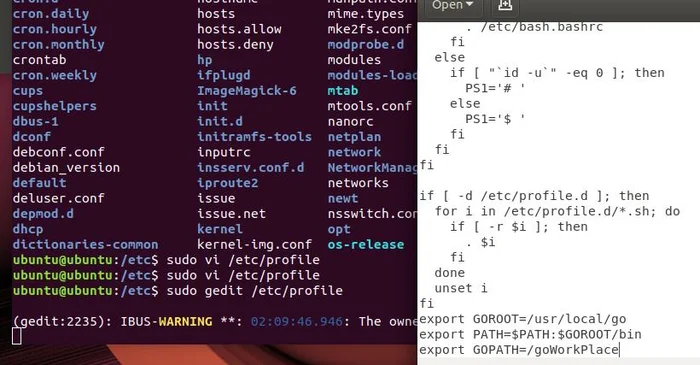 ubuntu 安装并配置golang