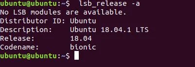 ubuntu 安装并配置golang