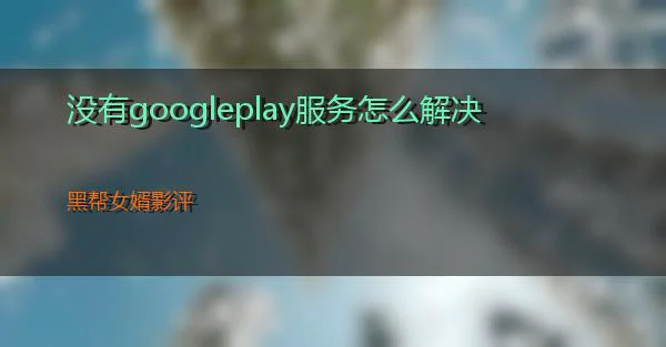 没有googleplay服务怎么解决的相关图片