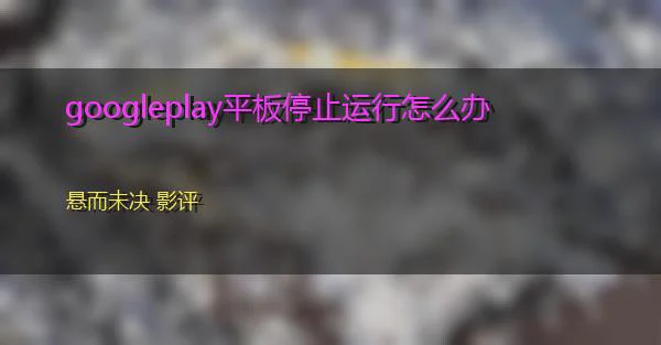 googleplay平板停止运行怎么办的相关图片