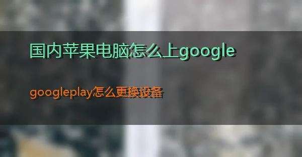 国内苹果电脑怎么上google的相关图片