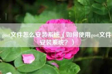 gost文件怎么安装系统（如何使用gost文件安装系统？）